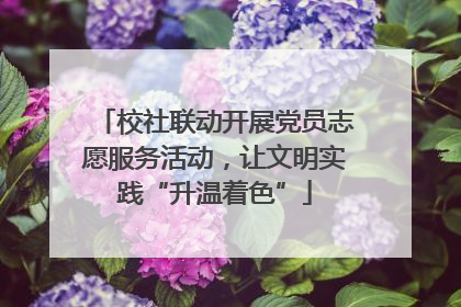 校社联动开展党员志愿服务活动，让文明实践“升温着色”