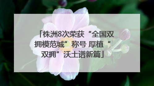 株洲8次荣获“全国双拥模范城”称号 厚植“双拥”沃土谱新篇