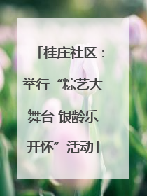 桂庄社区：举行“粽艺大舞台 银龄乐开怀”活动