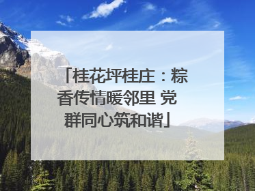 桂花坪桂庄：粽香传情暖邻里 党群同心筑和谐