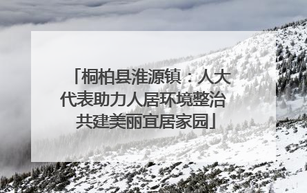 桐柏县淮源镇：人大代表助力人居环境整治 共建美丽宜居家园
