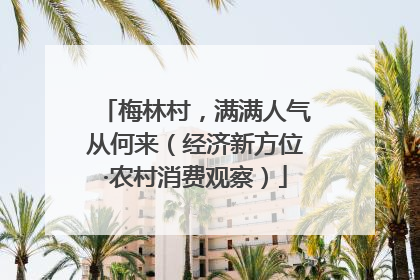 梅林村，满满人气从何来（经济新方位·农村消费观察）