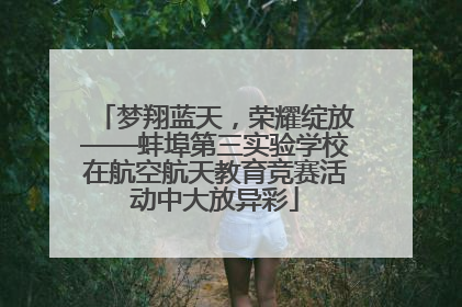 梦翔蓝天，荣耀绽放——蚌埠第三实验学校在航空航天教育竞赛活动中大放异彩
