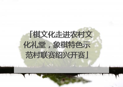 棋文化走进农村文化礼堂，象棋特色示范村联赛绍兴开赛