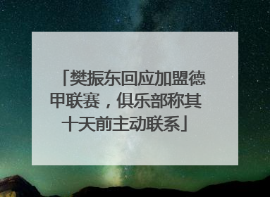 樊振东回应加盟德甲联赛，俱乐部称其十天前主动联系