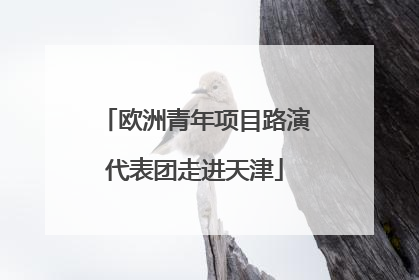 欧洲青年项目路演代表团走进天津