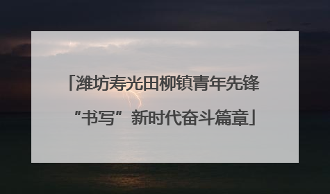 潍坊寿光田柳镇青年先锋“书写”新时代奋斗篇章