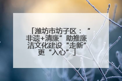 潍坊市坊子区：“非遗+清廉”助推廉洁文化建设“走新”更“入心”