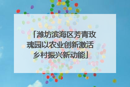 潍坊滨海区芳青玫瑰园以农业创新激活乡村振兴新动能