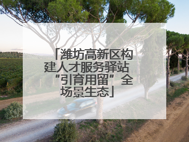 潍坊高新区构建人才服务驿站“引育用留”全场景生态