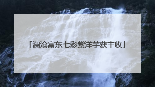 澜沧富东七彩紫洋芋获丰收