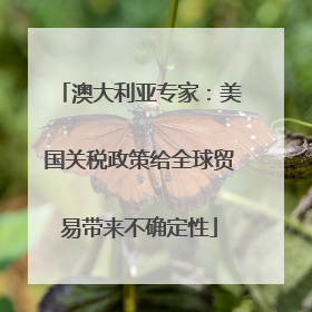 澳大利亚专家：美国关税政策给全球贸易带来不确定性
