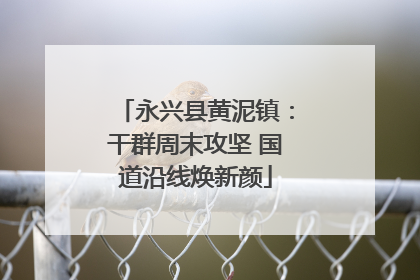 永兴县黄泥镇：干群周末攻坚 国道沿线焕新颜