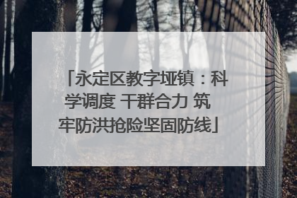 永定区教字垭镇：科学调度 干群合力 筑牢防洪抢险坚固防线