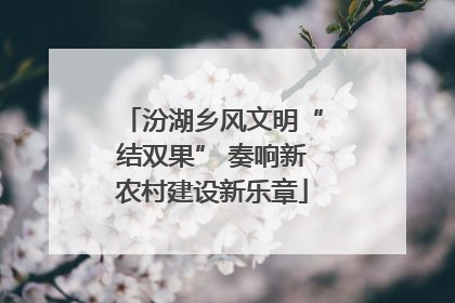 汾湖乡风文明“结双果” 奏响新农村建设新乐章