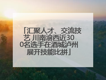汇聚人才、交流技艺 川南渝西近300名选手在酒城泸州展开技能比拼