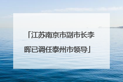 江苏南京市副市长李晖已调任泰州市领导