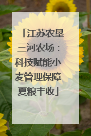 江苏农垦三河农场：科技赋能小麦管理保障夏粮丰收