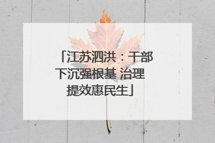 江苏泗洪：干部下沉强根基 治理提效惠民生