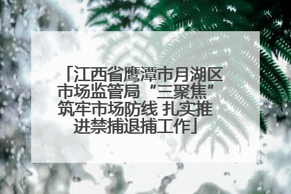 江西省鹰潭市月湖区市场监管局“三聚焦”筑牢市场防线 扎实推进禁捕退捕工作