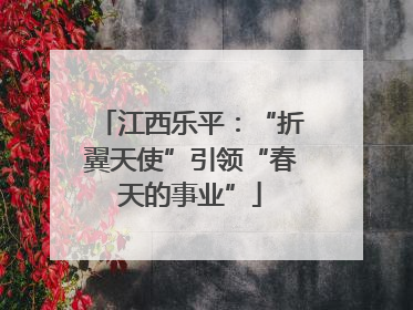 江西乐平：“折翼天使”引领“春天的事业”
