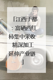 江西于都：富硒西红柿集中采收 精深加工延伸产业链