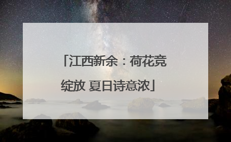 江西新余：荷花竞绽放 夏日诗意浓