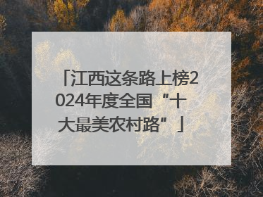 江西这条路上榜2024年度全国“十大最美农村路”