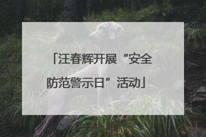 汪春辉开展“安全防范警示日”活动
