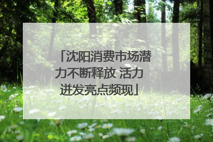 沈阳消费市场潜力不断释放 活力迸发亮点频现