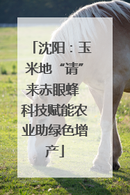 沈阳：玉米地“请”来赤眼蜂 科技赋能农业助绿色增产