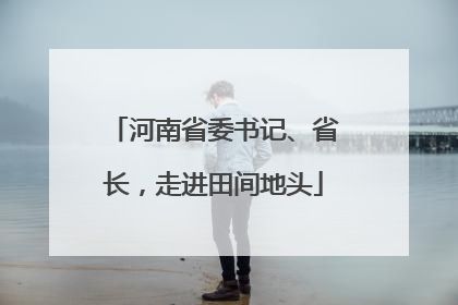 河南省委书记、省长，走进田间地头