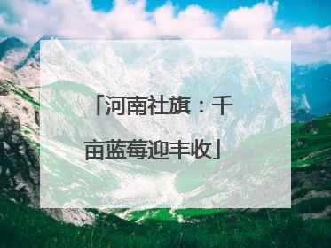 河南社旗：千亩蓝莓迎丰收