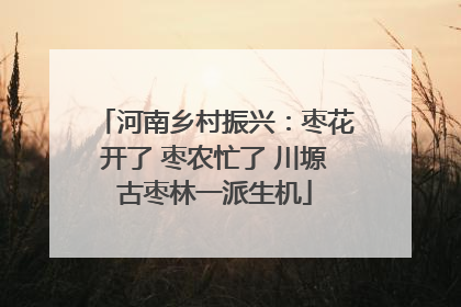 河南乡村振兴：枣花开了 枣农忙了 川塬古枣林一派生机