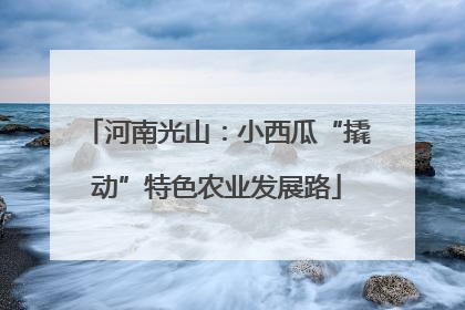 河南光山：小西瓜“撬动”特色农业发展路
