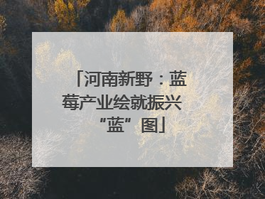 河南新野：蓝莓产业绘就振兴“蓝”图