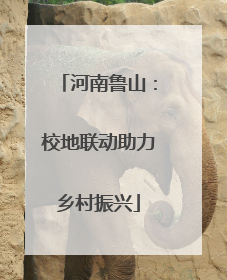 河南鲁山：校地联动助力乡村振兴