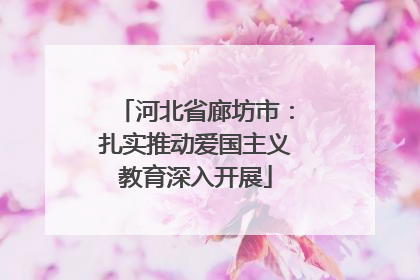 河北省廊坊市：扎实推动爱国主义教育深入开展
