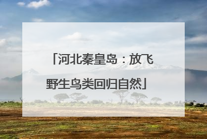 河北秦皇岛：放飞野生鸟类回归自然