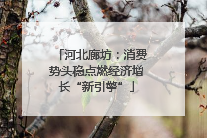 河北廊坊：消费势头稳点燃经济增长“新引擎”
