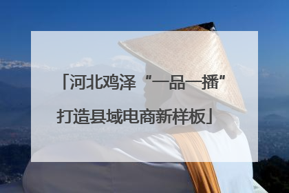 河北鸡泽“一品一播”打造县域电商新样板