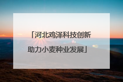河北鸡泽科技创新助力小麦种业发展
