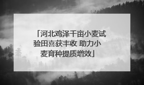 河北鸡泽千亩小麦试验田喜获丰收 助力小麦育种提质增效