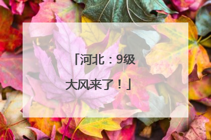 河北：9级大风来了！