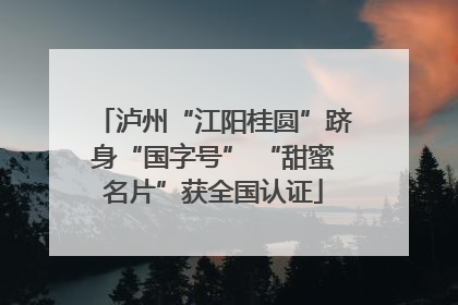 泸州“江阳桂圆”跻身“国字号” “甜蜜名片”获全国认证