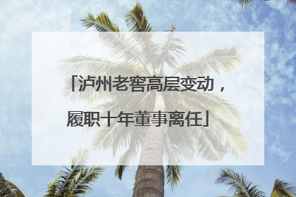 泸州老窖高层变动，履职十年董事离任