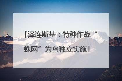 泽连斯基：特种作战“蛛网”为乌独立实施