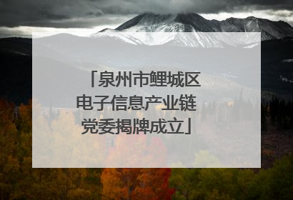 泉州市鲤城区电子信息产业链党委揭牌成立