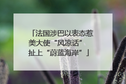 法国涉巴以表态惹美大使“风凉话” 扯上“蔚蓝海岸”