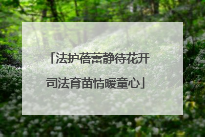 法护蓓蕾静待花开 司法育苗情暖童心